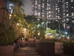 -九龙公园