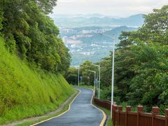 -黄埔油麻山森林公园
