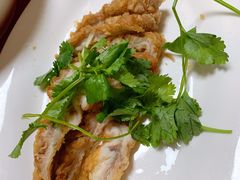 -肥弟大排档(汕樟路店)