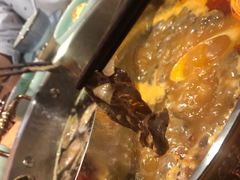 -礼舍·和牛火锅·烤肉·料理餐厅(华茂店)