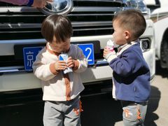 -奔驰利星行(北京花乡店)