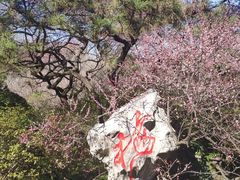 -杭州植物园
