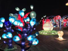 -湖州太湖旅游度假区-月亮广场