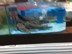 -阿伟海鲜楼·福建菜(延寿店)