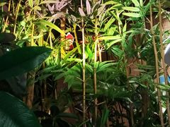 -施奈儿.洗头頭療.按摩SPA.采耳(上梅林店)