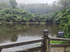 -水濂山森林公园