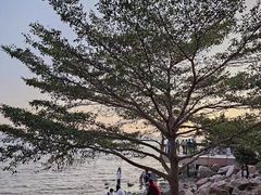 -深圳湾公园(南山区)