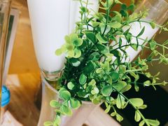 -探窝·竹笙椰子鸡(杨箕店)