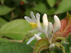 -中国建设银行(北京中关村分行)