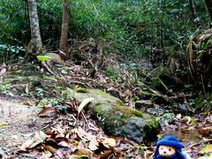 android_upload_pic-广州市石门国家森林公园