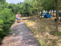 -东郊湿地公园