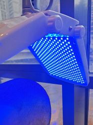 -碧莲盛·不剃发植发