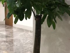 -华东理工大学·停车场
