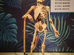 -生命奥秘博物馆