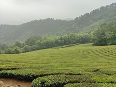 -敬亭山风景名胜区