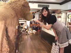 -伊豆泰迪熊博物馆