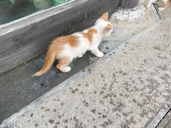 -东关历史文化旅游区-东门遗址