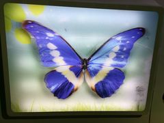 -上海昆虫博物馆