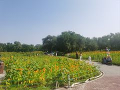 -北陵公园