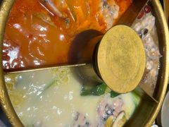 -巴奴毛肚火锅(广益哥伦布店)