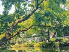 -惠山古镇·寄畅园