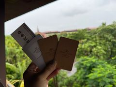 -西双版纳融创皇冠假日度假酒店