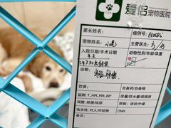 -爱侣宠医·鹦鹉专科·小型哺乳类·异宠专科(灵石路店)