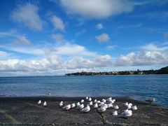 -Takapuna Beach Cafe