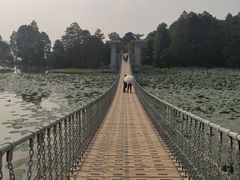 -东湖落雁景区
