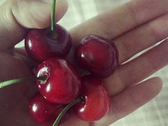 -地利生鲜(甘井子街店)