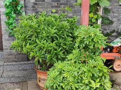 -梨木台悦来客农家院