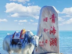 -青海湖国家重点风景名胜区