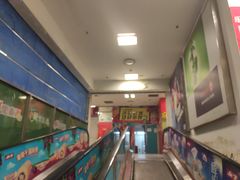 -大自然花鸟鱼虫市场