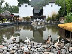 -荷塘味道(水长城店)