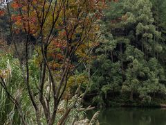-缙云山景区