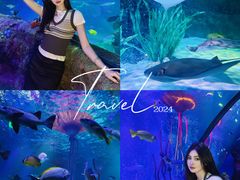 -沈阳海洋探索中心