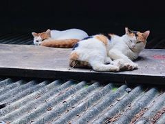 -颐和园
