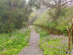 -南岳衡山风景名胜区