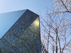 -龙美术馆西岸馆-停车场