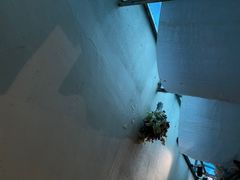 -囿面传统制面馆(中央路店)