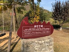 -金钉子远古世界景区