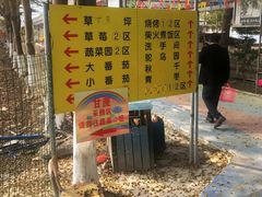 -新塘水果乐园(东洲大道店)