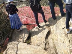 -木兰云雾山