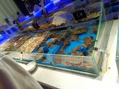 -加餐海鲜自助餐厅(福清万达店)