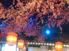 -荷塘秋月·本帮江浙菜(国权路店)