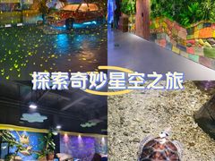 -顺德南宏海立方海洋公园