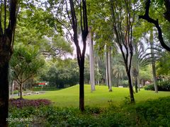 -凌记(泮塘路店)