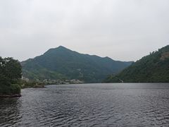 -后柳水乡
