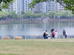 -西北湖绿化广场