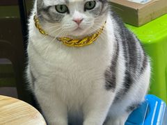 -百金通黄金回收首饰定制维修(珠江路总部)